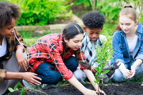 Three kids planting a tree in a garden supervised by one adult.